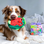Outward Hound Surprise Hedgies Dog Toys as low as $5.23 Shipped Free (Reg. $7.69) + MORE