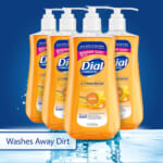 4-Count Dial Complete Antibacterial Liquid Hand Soap (Gold) as low as $5.39 After Coupon (Reg. $12.05) – $1.35/11-Oz Container + Free Shipping