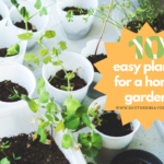 10 Easy Plants for a Home Garden