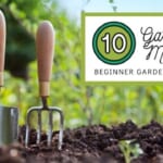 Top 10 Gardening Mistakes Beginner Gardeners Make