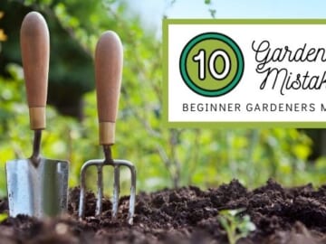 Top 10 Gardening Mistakes Beginner Gardeners Make