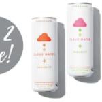2 FREE Cloud Immunity Sparkling Waters with Aisle & Ibotta Mobile Rebates