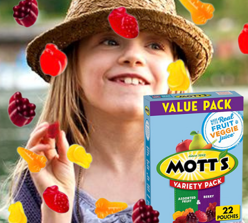 22-Count Mott’s Fruit Flavored Variety Snacks as low as  $3.23 After Coupon (Reg. $5) + Free Shipping – 15¢/0.8 oz Pouch