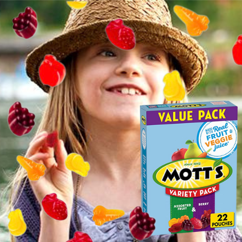 22-Count Mott’s Fruit Flavored Variety Snacks as low as  $3.23 After Coupon (Reg. $5) + Free Shipping – 15¢/0.8 oz Pouch