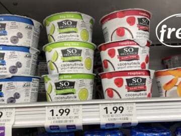FREE So Delicious Dairy-Free Yogurt at Publix