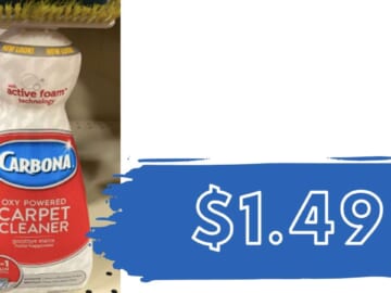 Use Ibotta to Make Carbona Carpet Cleaner $1.49 Just at Publix