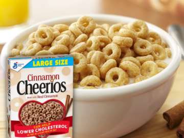 Cinnamon Cheerios Breakfast Cereal, 14.3 Oz as low as $2.27 After Coupon (Reg. $5.29) + Free Shipping