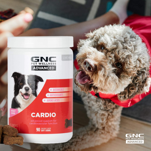 90-Count GNC Pets Advanced Dog Supplements for Cardiovascular Support as low as $5.43 Shipped Free (Reg. $8.33) – 6¢/Soft Chew – LOWEST PRICE