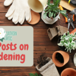 Southern Savers Top Gardening Posts
