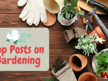 Southern Savers Top Gardening Posts