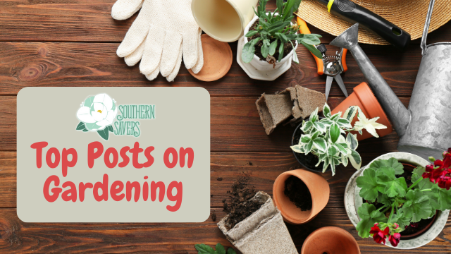 Southern Savers Top Gardening Posts