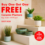 Big Lots: Buy One, Get One Free Ceramic Planters Today!
