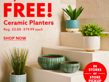 Big Lots: Buy One, Get One Free Ceramic Planters Today!