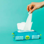 Free Goodwipes Flushable Wipes at Walmart!