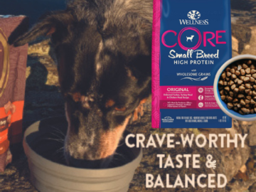 Wellness Core 4-lbs Adult Small Breed High Protein Wholesome Grains Dry Dog Food as low as $5.65 After Coupon (Reg. $22) + Free Shipping