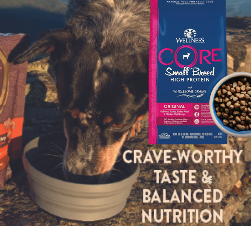 Wellness Core 4-lbs Adult Small Breed High Protein Wholesome Grains Dry Dog Food as low as $5.65 After Coupon (Reg. $22) + Free Shipping