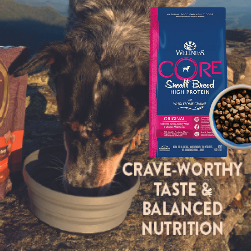 Wellness Core 4-lbs Adult Small Breed High Protein Wholesome Grains Dry Dog Food as low as $5.65 After Coupon (Reg. $22) + Free Shipping