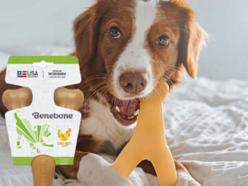 Benebone Wishbone Durable Dog Chew Toy, Real Chicken, Medium as low as $4.61 After Coupon (Reg. $13.45) + Free Shipping – for Aggressive Chewers