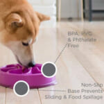 Outward Hound Slow Feeder Dog Bowl, Medium $5.92 After Coupon (Reg. $16.49)