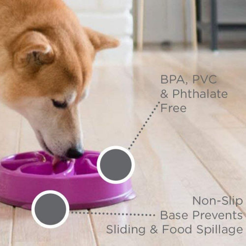 Outward Hound Slow Feeder Dog Bowl, Medium $5.92 After Coupon (Reg. $16.49)