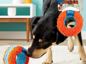 ChuckIt! Indoor Roller Dog Toy Ball as low as $3.25 After Coupon (Reg. $10) + Free Shipping – 27.9K+ FAB Ratings!