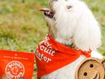 Buddy Biscuits Grain Free Soft & Chewy Dog Treats with Peanut Butter, 5 oz as low as $3.29 After Coupon (Reg. $7.69) + Free Shipping – 5.4K+ FAB Ratings!