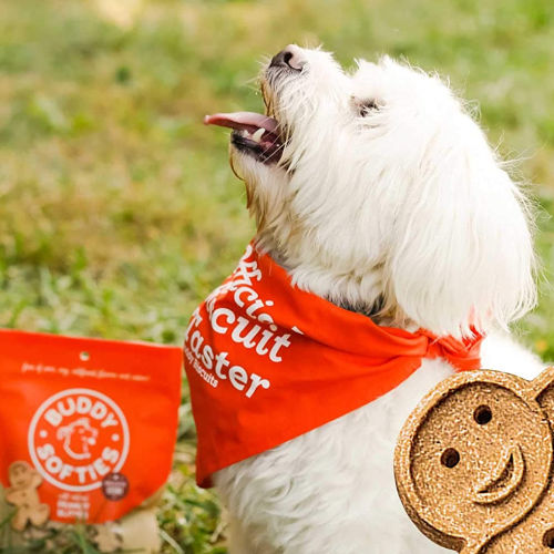 Buddy Biscuits Grain Free Soft & Chewy Dog Treats with Peanut Butter, 5 oz as low as $3.29 After Coupon (Reg. $7.69) + Free Shipping – 5.4K+ FAB Ratings!