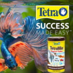 TetraMin Tropical Flakes, 7.06-Oz as low as $4.39 After Coupon (Reg. $20.19) + Free Shipping – 12K+ FAB Ratings! Nutritionally Balanced Fish Food