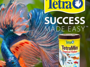 TetraMin Tropical Flakes, 7.06-Oz as low as $4.39 After Coupon (Reg. $20.19) + Free Shipping – 12K+ FAB Ratings! Nutritionally Balanced Fish Food