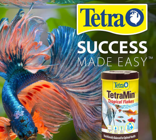 TetraMin Tropical Flakes, 7.06-Oz as low as $4.39 After Coupon (Reg. $20.19) + Free Shipping – 12K+ FAB Ratings! Nutritionally Balanced Fish Food