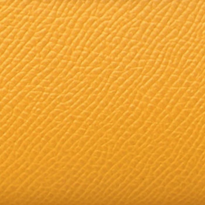 swatch of hermes jaune ambre epsom