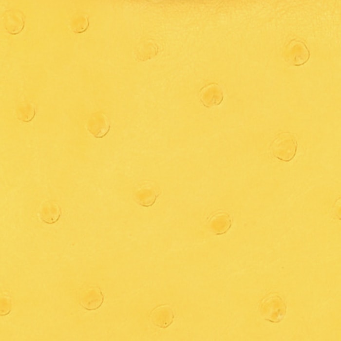 this is a close up swatch image by fashionphile of the hermes jaune citron color on ostrich
