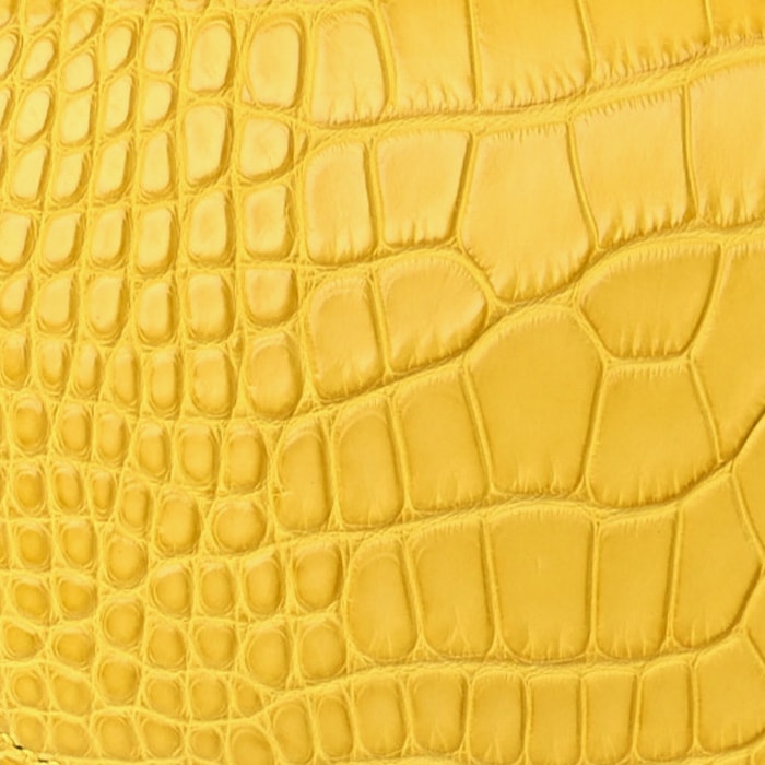 swatch of hermes mimosa in matte alligator