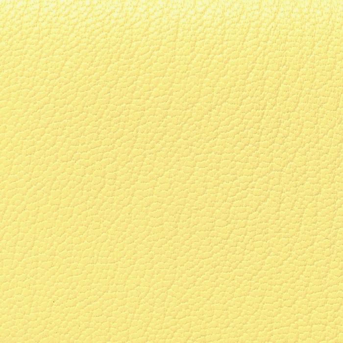 swatch of hermes lemoncello chevre mysore