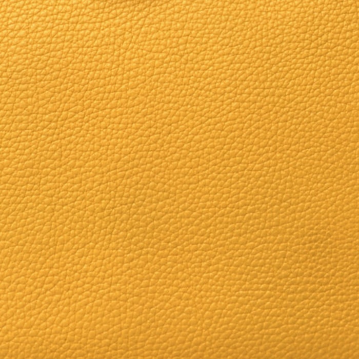 swatch of hermes soleil in togo