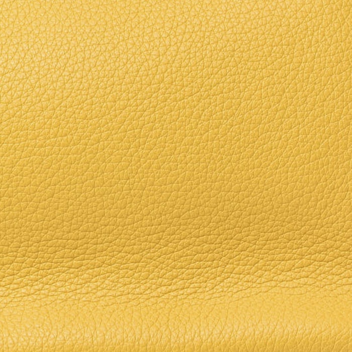 swatch of hermes soleil in taurillon clemence