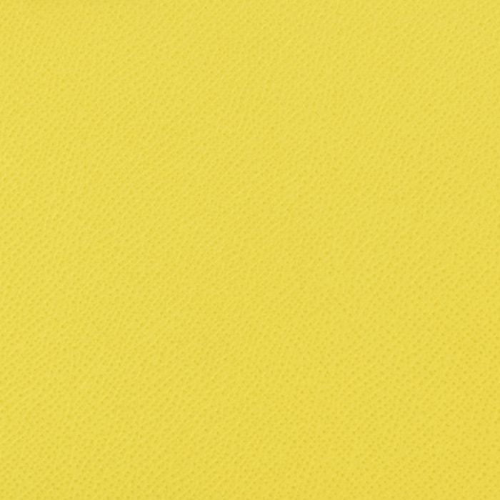 swatch of hermes soufre epsom