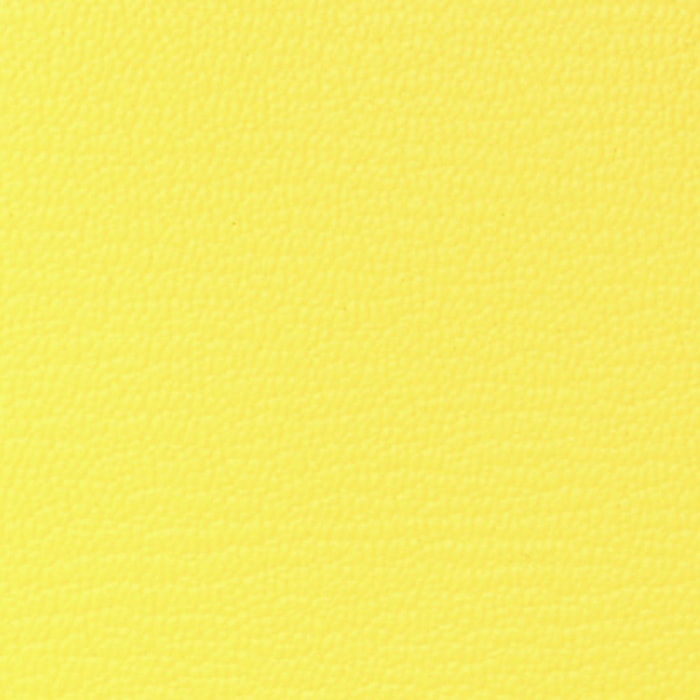 swatch of hermes soufre chevre mysore