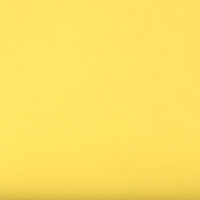 swatch of hermes lime swift