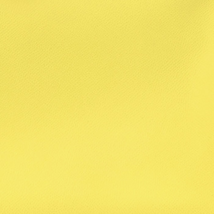 swatch of hermes lime epsom