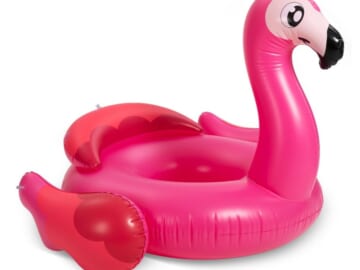 Lego Creator Parrot Building Kit, Flamingo Inflatable Pool Floaty, Green Toys Linking Boat Bath Toy & more (8/22)