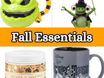 Fall Essentials: Home Decor, Bedding, Bath and Laundry, Window Treatments, Tabletop, and more from $9.57 (Reg. $13.99+)
