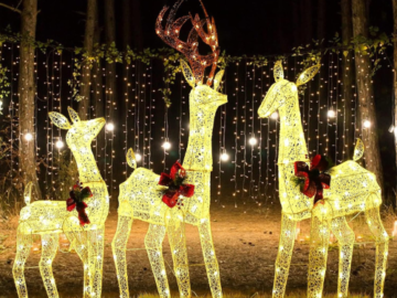 Illuminate your outdoor space with this Light Up Deer Family, 3-Piece Set for just $119.99 After Code (Reg. $299.99) + Free Shipping