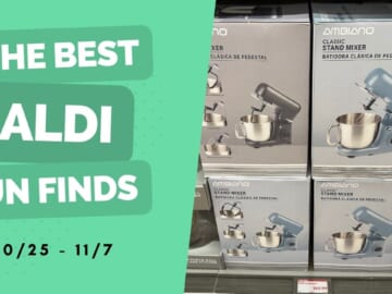 Aldi Fun Finds | Tons of Kitchen Gear, $2.99 Wooden Brushes & More