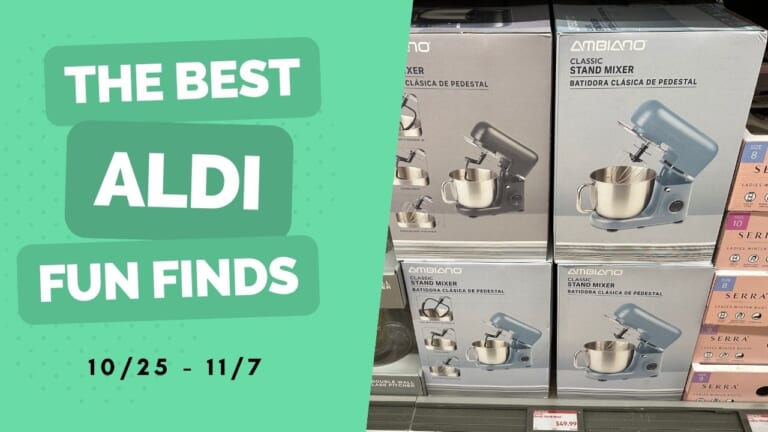 Aldi Fun Finds | Tons of Kitchen Gear, $2.99 Wooden Brushes & More