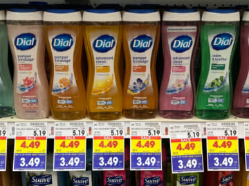 Dial Body Wash As Low As $2.49 Per Bottle At Kroger (Regular Price $5.19)