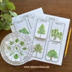Free Printable Trees and Leaves Layered Wheel and Notebooking Lift the Flap Pages