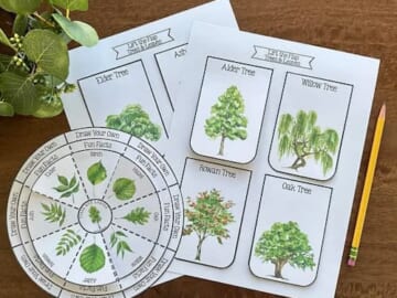 Free Printable Trees and Leaves Layered Wheel and Notebooking Lift the Flap Pages