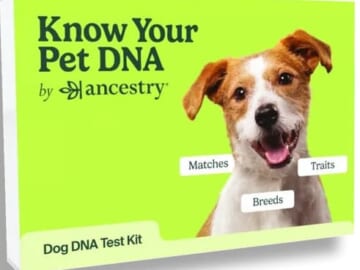 Ancestry Dog DNA Kit for $99 + free shipping