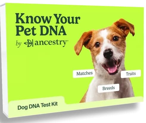 Ancestry Dog DNA Kit for $99 + free shipping